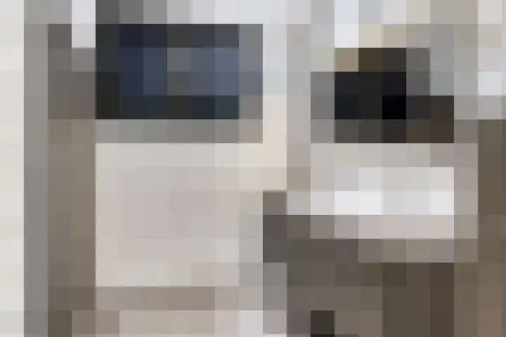 Landleven 12 Eindhoven thumbnail 33