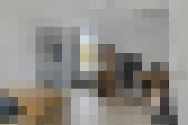 Landleven 12 Eindhoven thumbnail 38