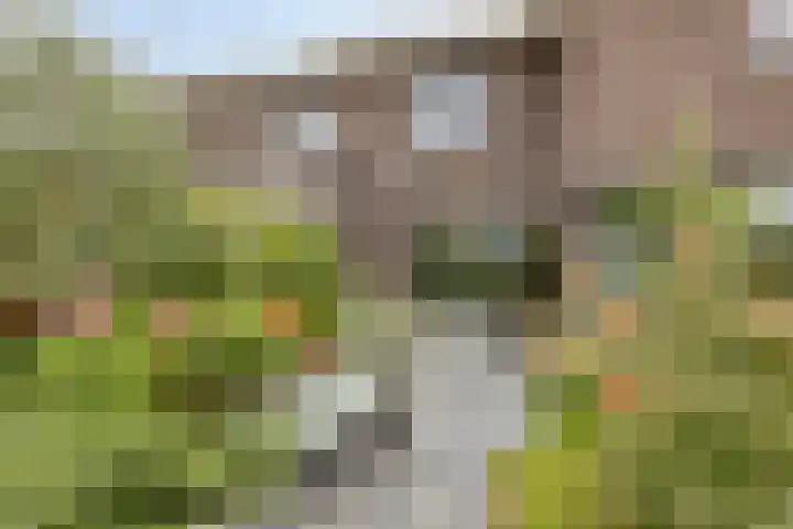 Landleven 12 Eindhoven thumbnail 42