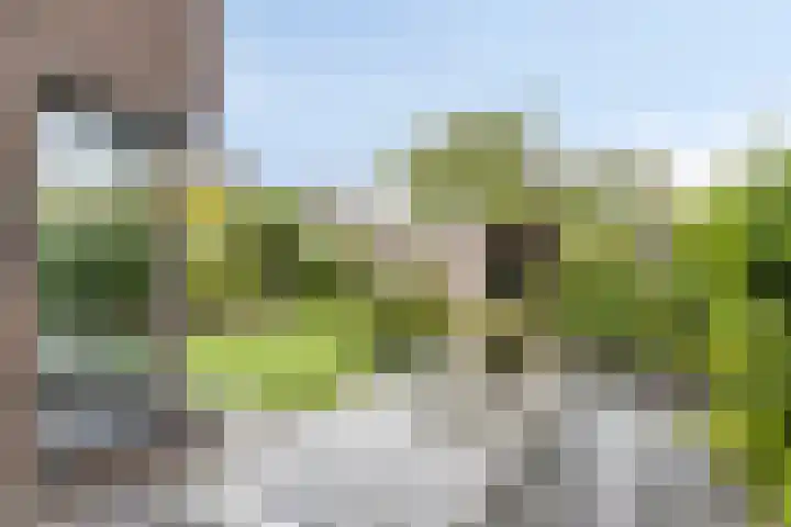 Landleven 12 Eindhoven thumbnail 43