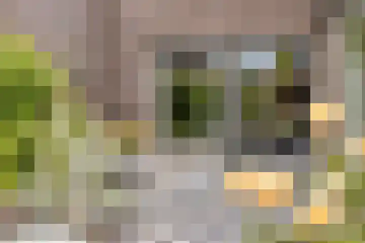 Landleven 12 Eindhoven thumbnail 44