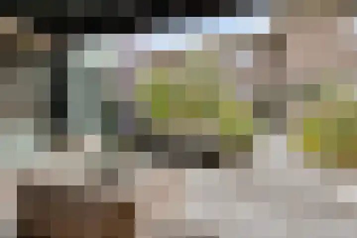 Landleven 12 Eindhoven thumbnail 48