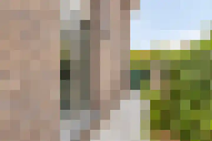 Landleven 12 Eindhoven thumbnail 49