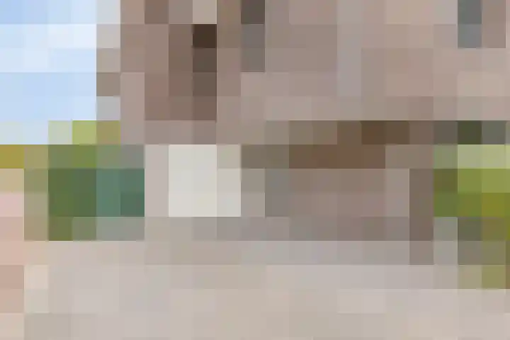 Landleven 12 Eindhoven thumbnail 53