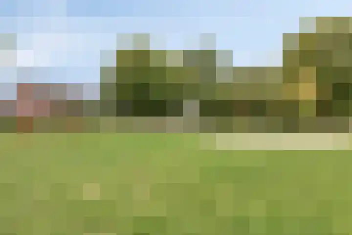 Landleven 12 Eindhoven thumbnail 55
