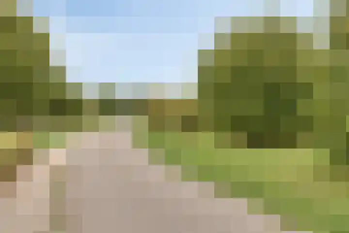Landleven 12 Eindhoven thumbnail 56