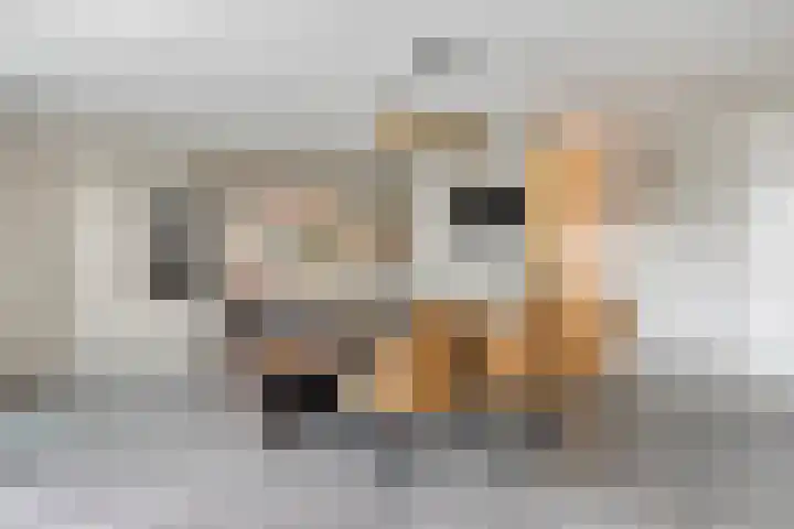 Landleven 12 Eindhoven thumbnail 6