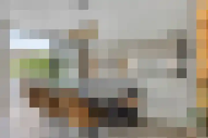 Landleven 12 Eindhoven thumbnail 8