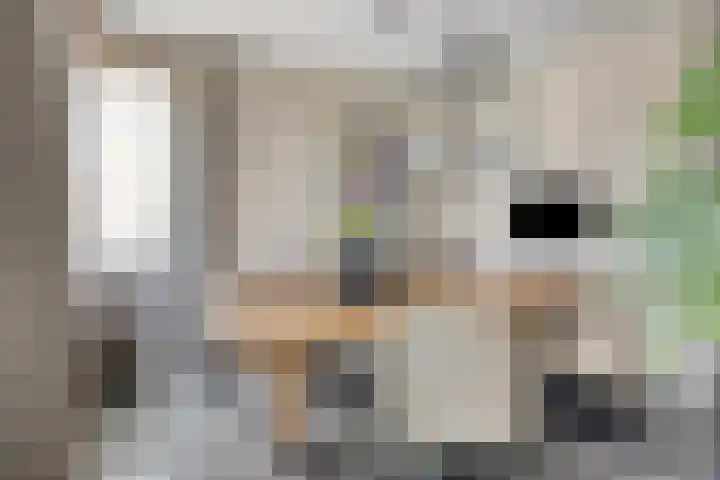 Landleven 127 Eindhoven thumbnail 13