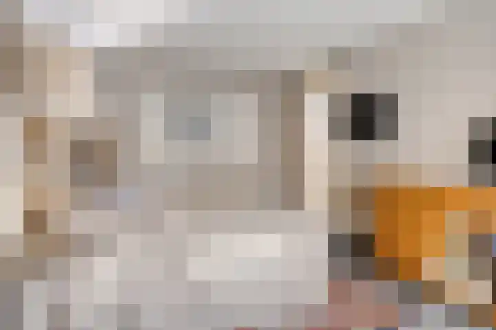 Landleven 127 Eindhoven thumbnail 20