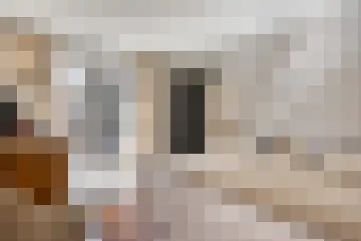 Landleven 127 Eindhoven thumbnail 21