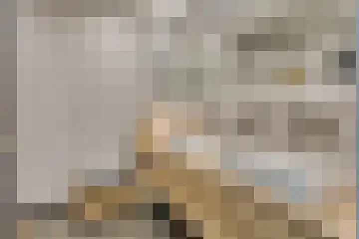 Landleven 127 Eindhoven thumbnail 22