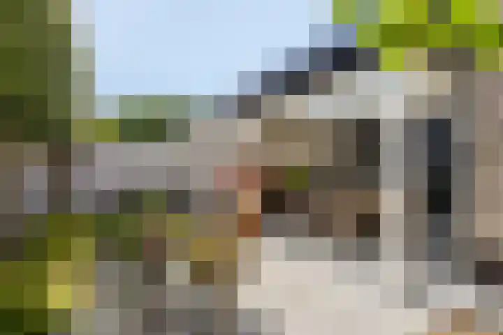 Landleven 127 Eindhoven thumbnail 26
