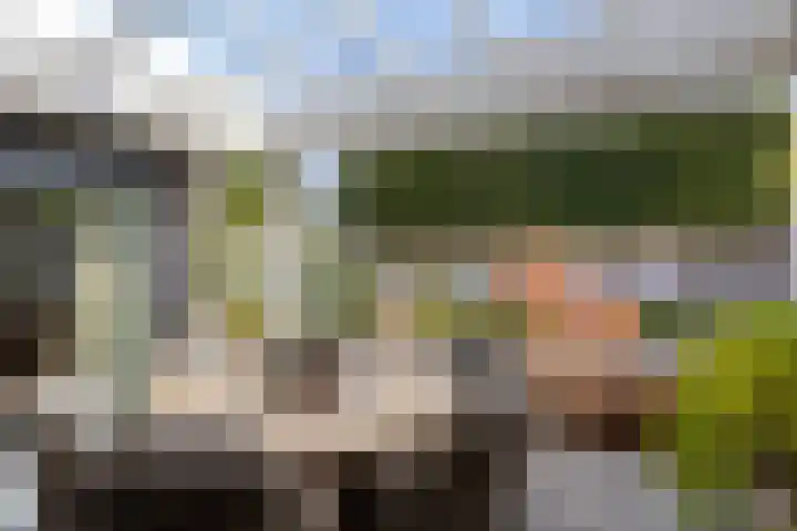 Landleven 127 Eindhoven thumbnail 27