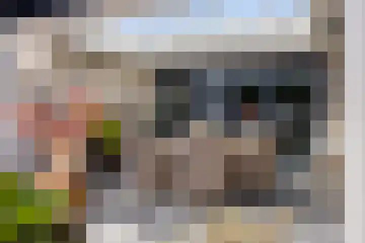 Landleven 127 Eindhoven thumbnail 29