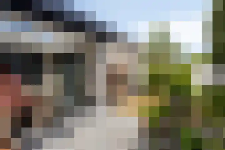 Landleven 127 Eindhoven thumbnail 30