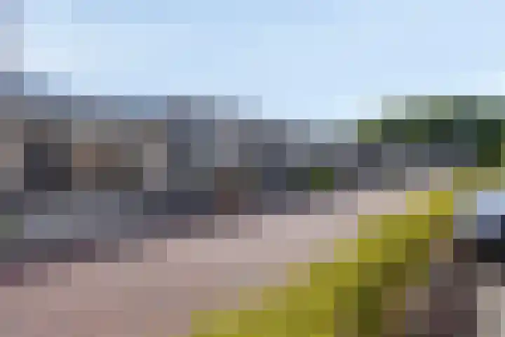 Landleven 127 Eindhoven thumbnail 36
