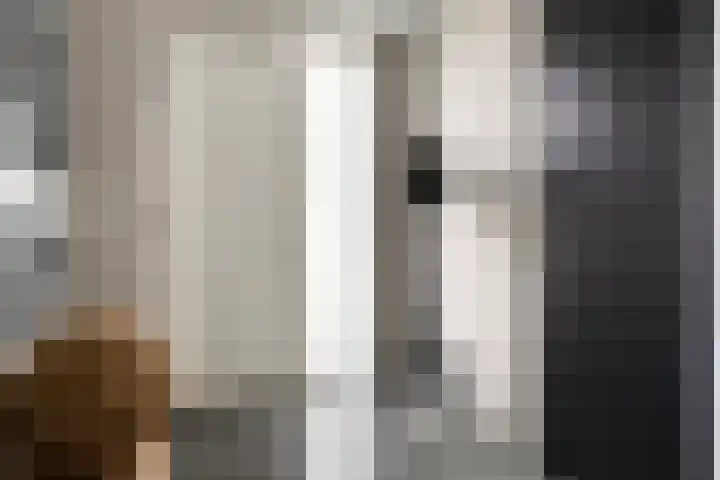 Landleven 127 Eindhoven thumbnail 5