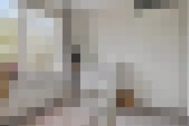 Landleven 13 Eindhoven thumbnail 20