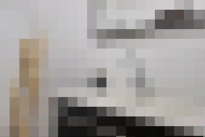Landleven 13 Eindhoven thumbnail 24