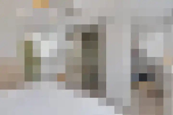 Landleven 13 Eindhoven thumbnail 25