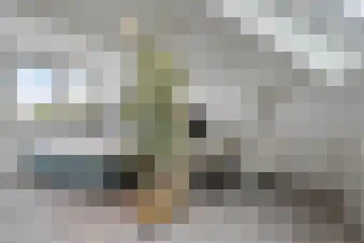 Landleven 13 Eindhoven thumbnail 28