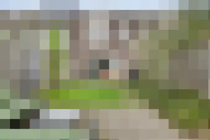 Landleven 13 Eindhoven thumbnail 32