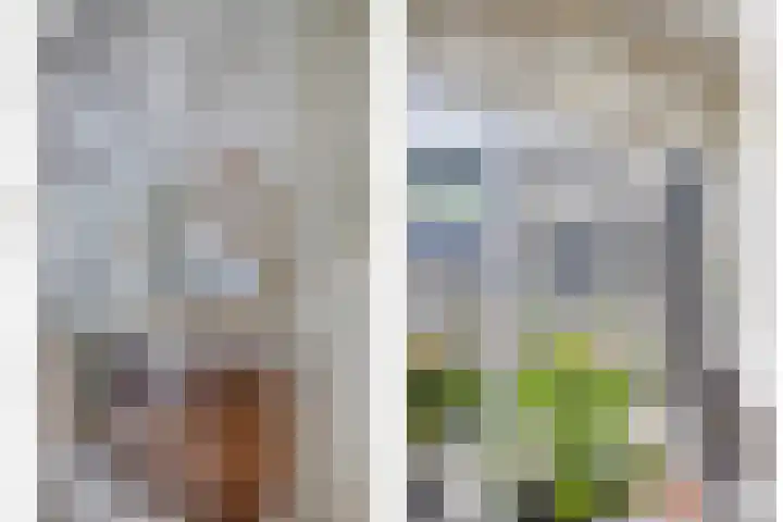 Landleven 214 Eindhoven thumbnail 13