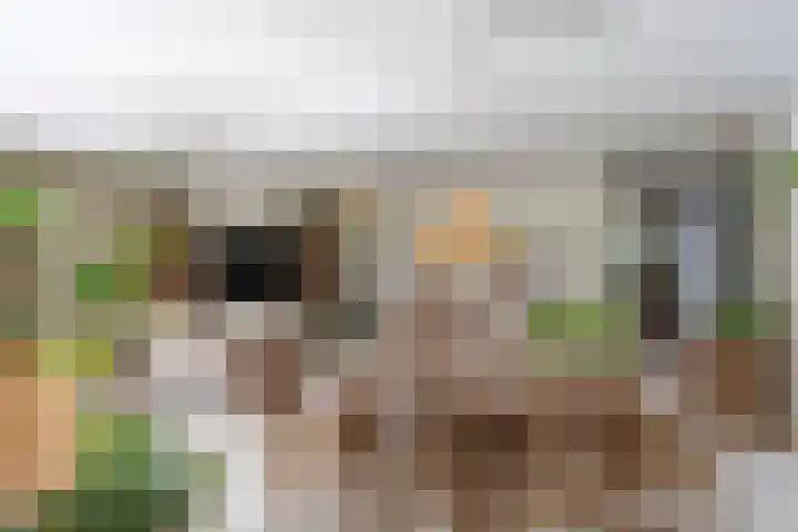Landleven 214 Eindhoven thumbnail 15