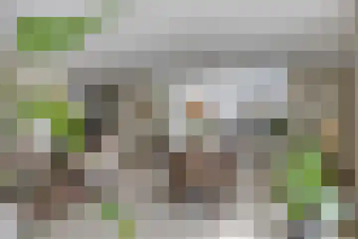Landleven 214 Eindhoven thumbnail 16