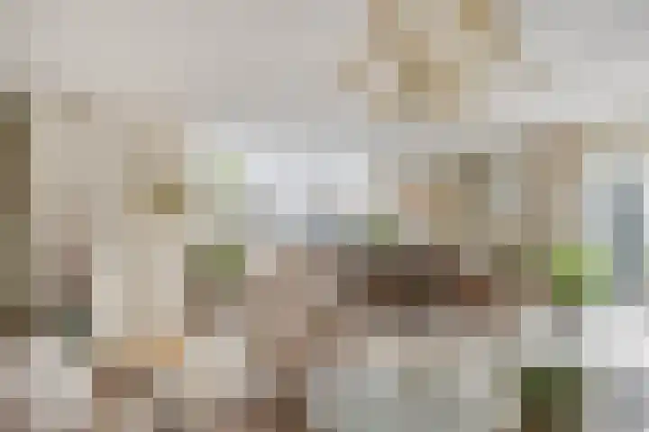 Landleven 214 Eindhoven thumbnail 17