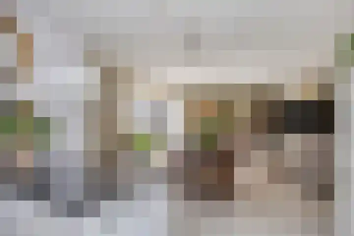 Landleven 214 Eindhoven thumbnail 18