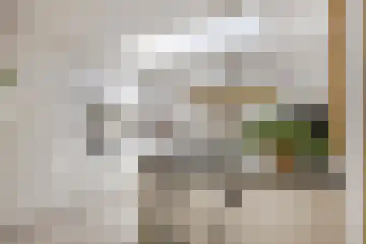 Landleven 214 Eindhoven thumbnail 19