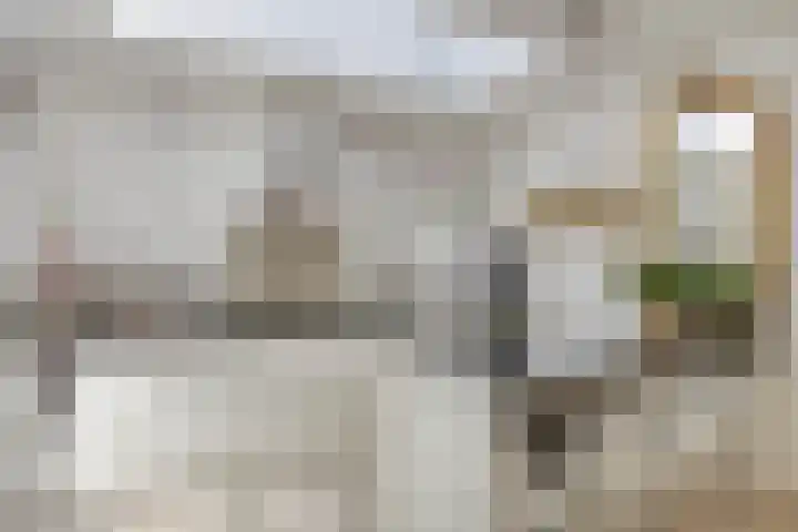 Landleven 214 Eindhoven thumbnail 20