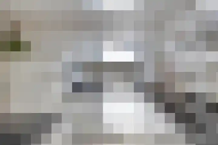 Landleven 214 Eindhoven thumbnail 21