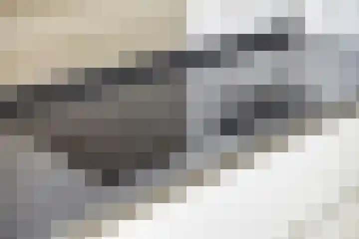 Landleven 214 Eindhoven thumbnail 22