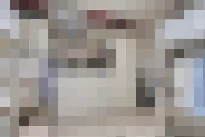Landleven 214 Eindhoven thumbnail 24