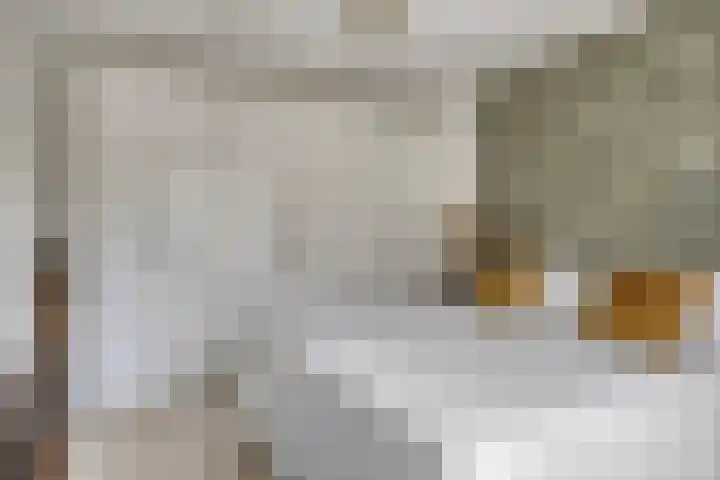 Landleven 214 Eindhoven thumbnail 25