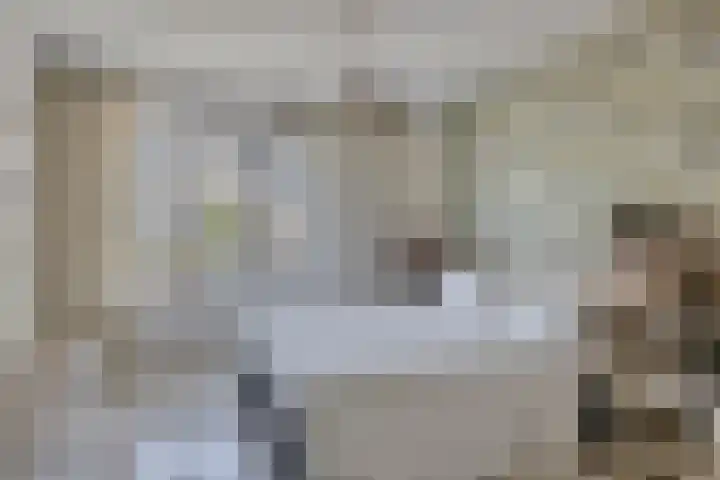 Landleven 214 Eindhoven thumbnail 30