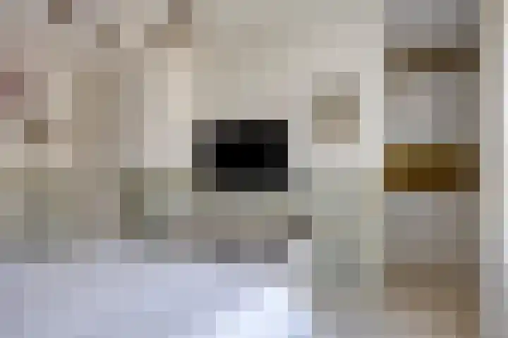Landleven 214 Eindhoven thumbnail 31
