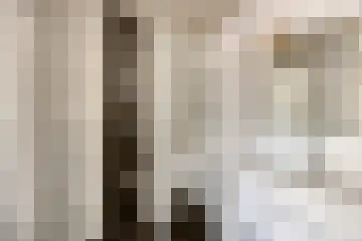 Landleven 214 Eindhoven thumbnail 33
