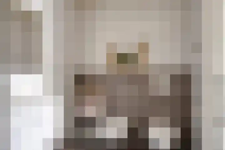 Landleven 214 Eindhoven thumbnail 35