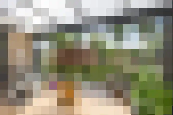 Landleven 214 Eindhoven thumbnail 36