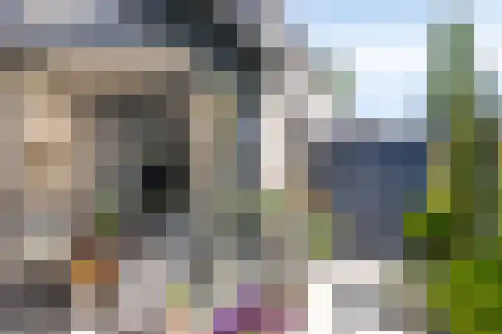 Landleven 214 Eindhoven thumbnail 39