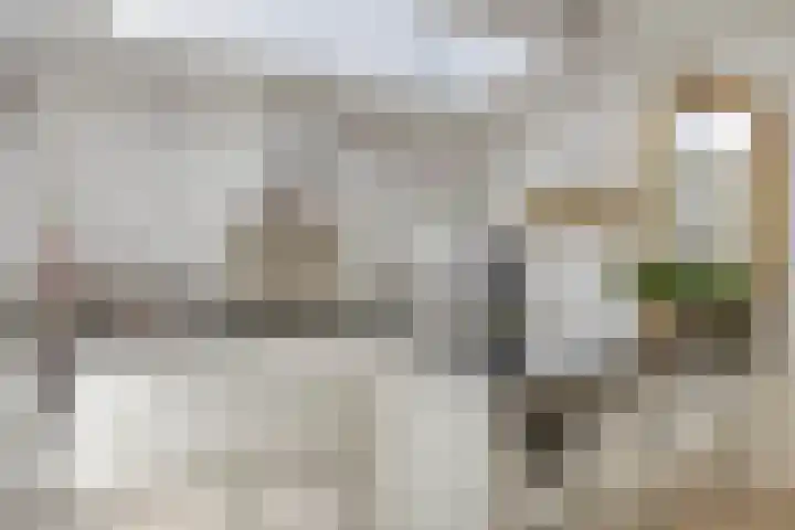 Landleven 214 Eindhoven thumbnail 4