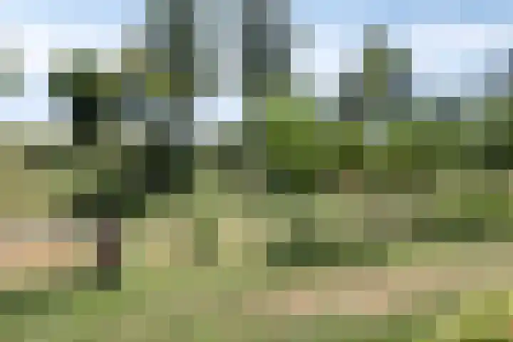 Landleven 214 Eindhoven thumbnail 41