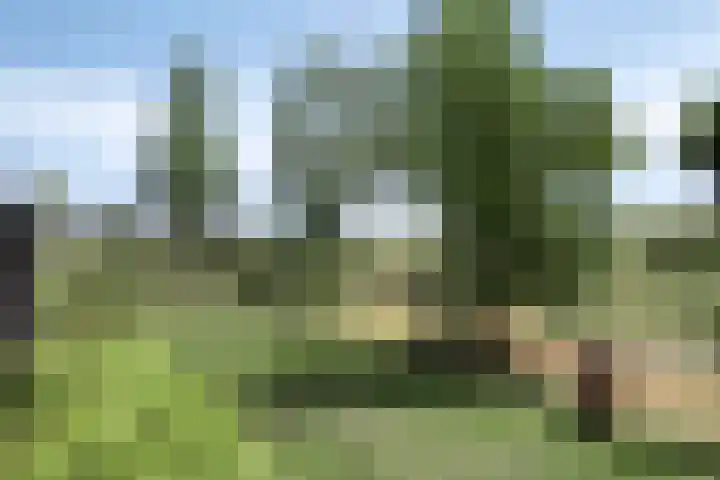 Landleven 214 Eindhoven thumbnail 42