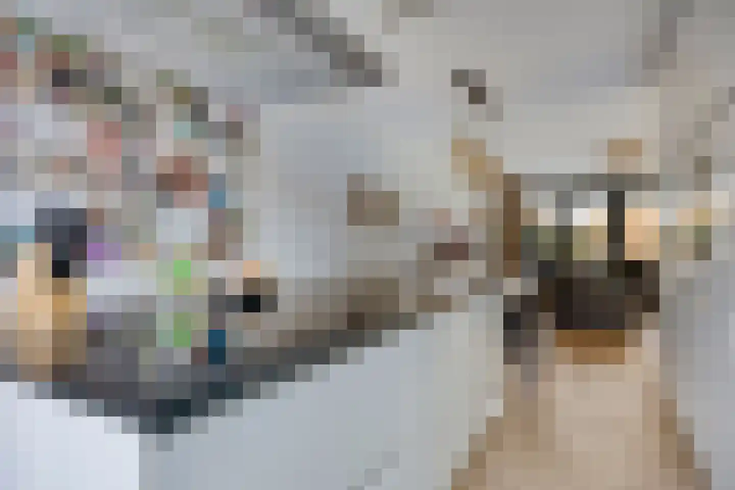 Landleven 76 Eindhoven thumbnail 16