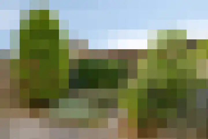 Landleven 85 Eindhoven thumbnail 19