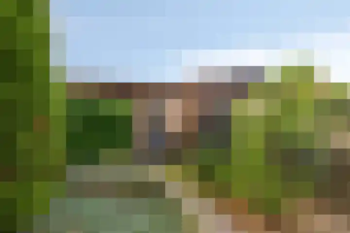 Landleven 85 Eindhoven thumbnail 20